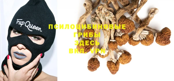 гидра Алексеевка